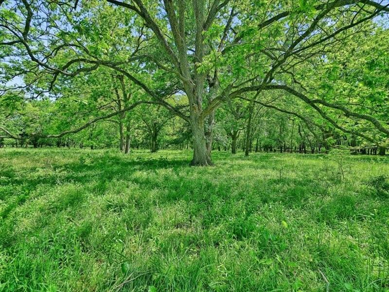 1747 Desvoignes Road Property Photo
