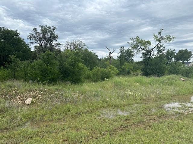 101 Bald Eagle Court Property Photo