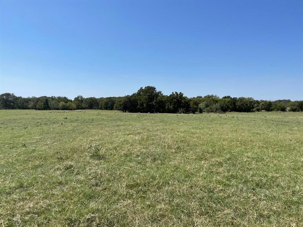 Tbd County Road 245 Property Photo