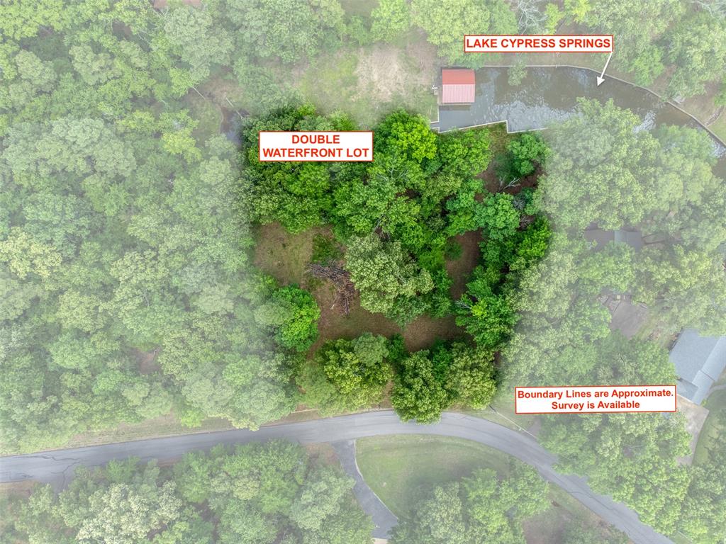 255 Spring Creek Drive Property Photo 1