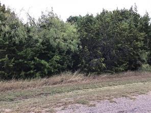 12015 Trailwood Drive Property Photo 1