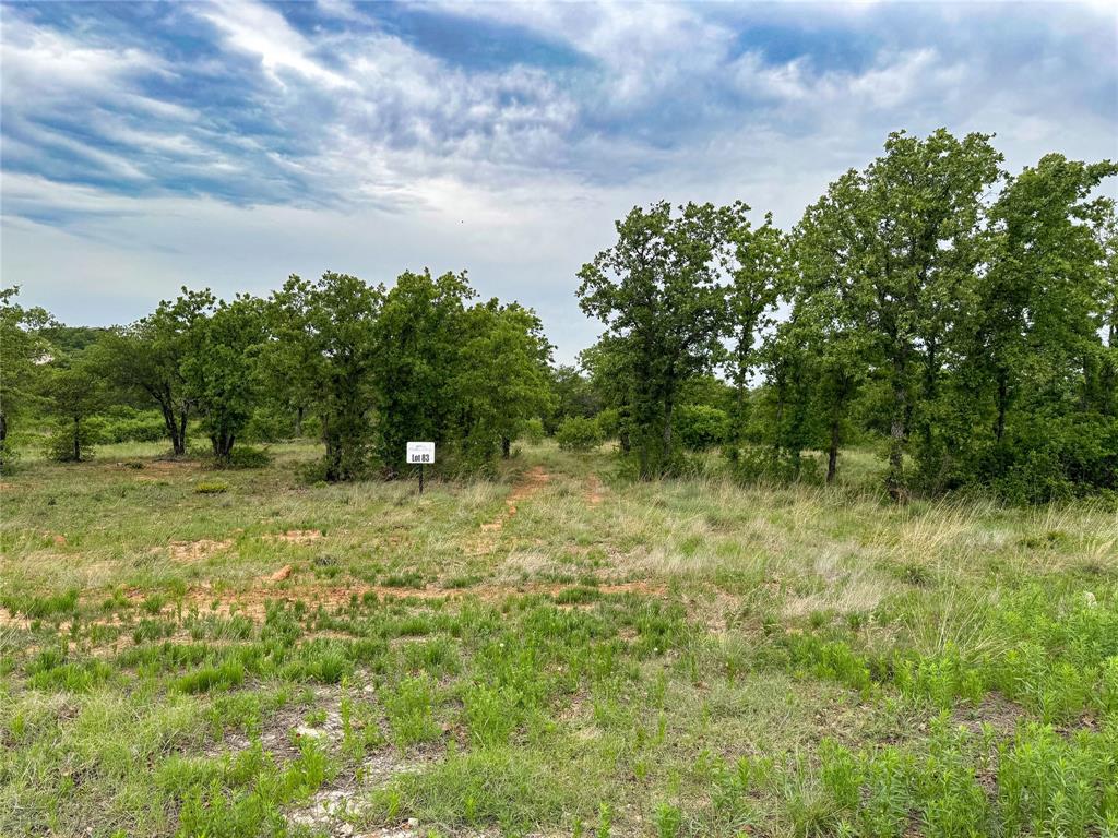 Lot 83 Shoreline Drive Property Photo