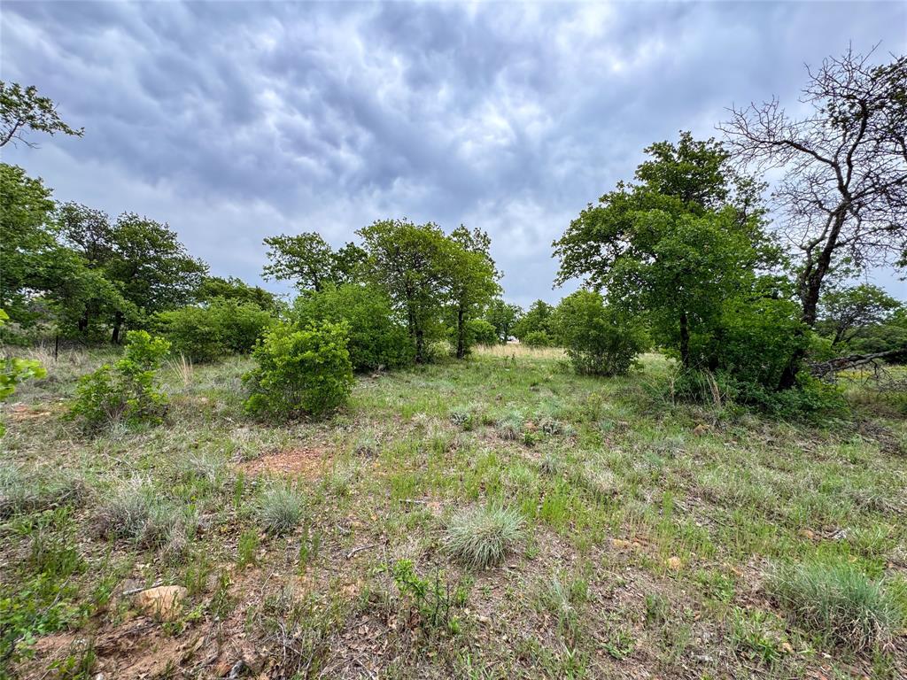 Lot 83 Shoreline Drive Property Photo 2