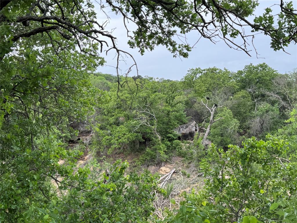 Lot 83 Shoreline Drive Property Photo 5