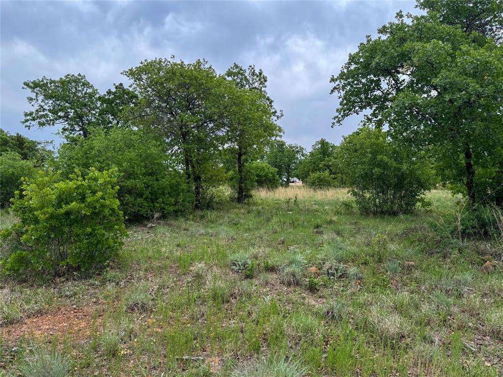 Lot 83 Shoreline Drive Property Photo 6