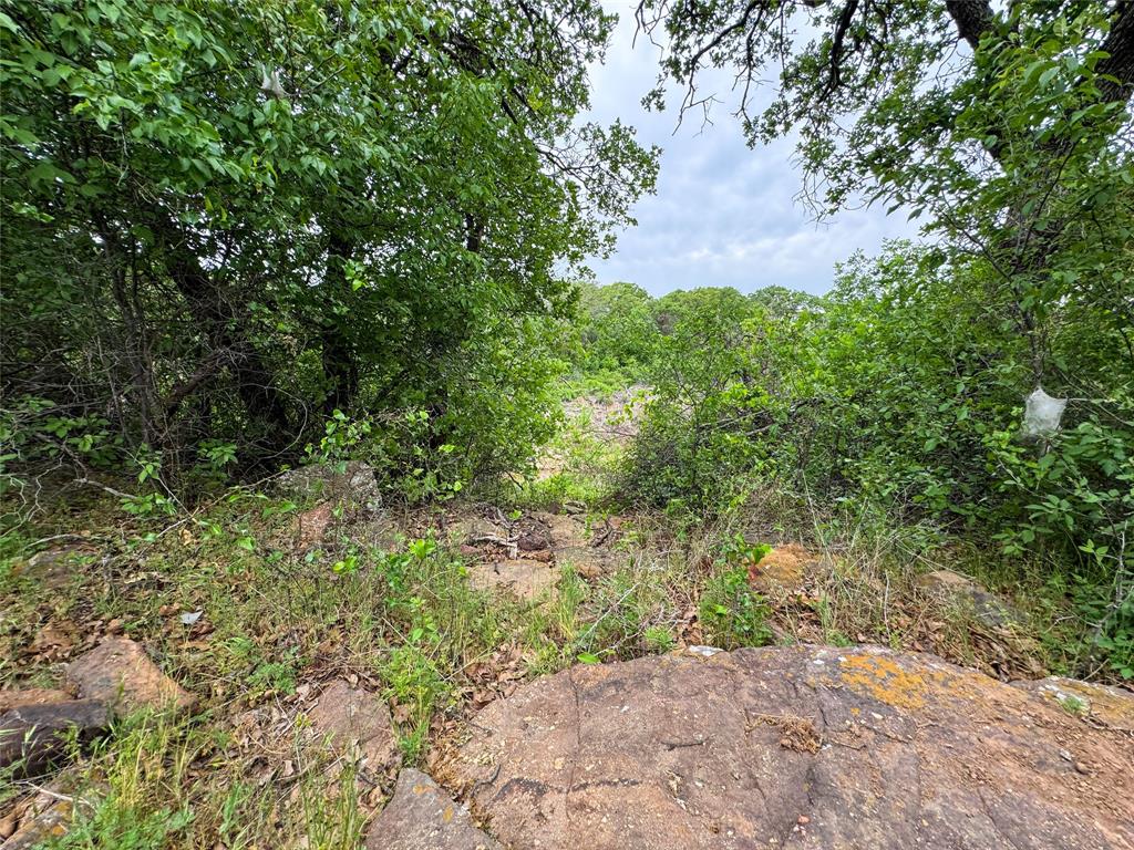 Lot 83 Shoreline Drive Property Photo 7