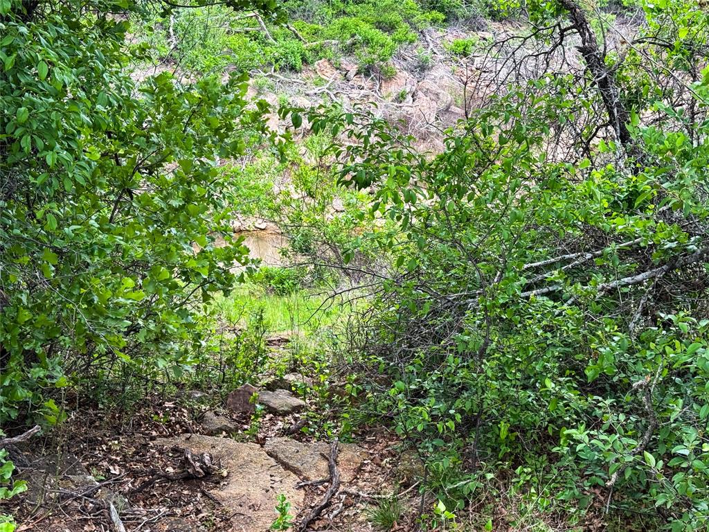 Lot 83 Shoreline Drive Property Photo 8
