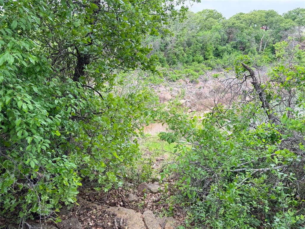 Lot 83 Shoreline Drive Property Photo 9