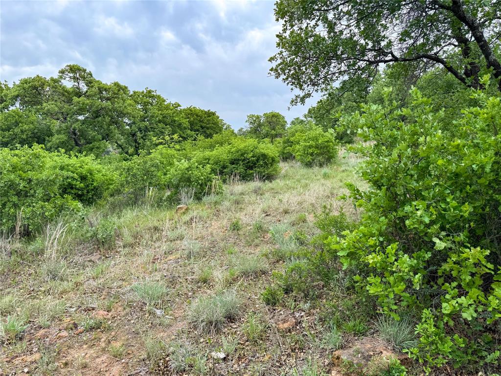Lot 83 Shoreline Drive Property Photo 11