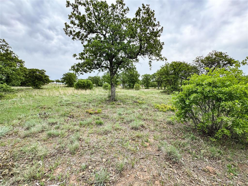 Lot 83 Shoreline Drive Property Photo 12