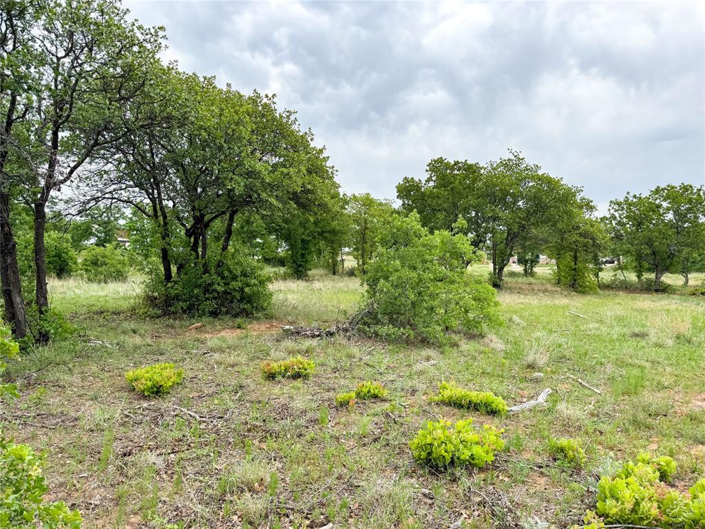 Lot 83 Shoreline Drive Property Photo 14