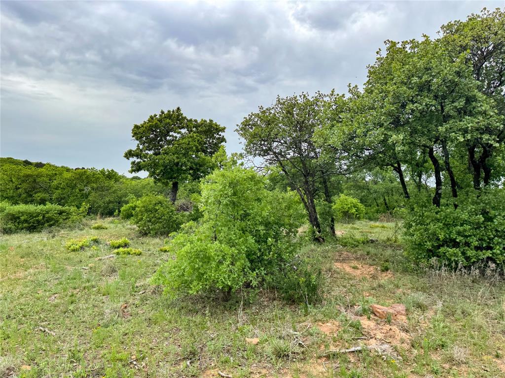 Lot 83 Shoreline Drive Property Photo 15