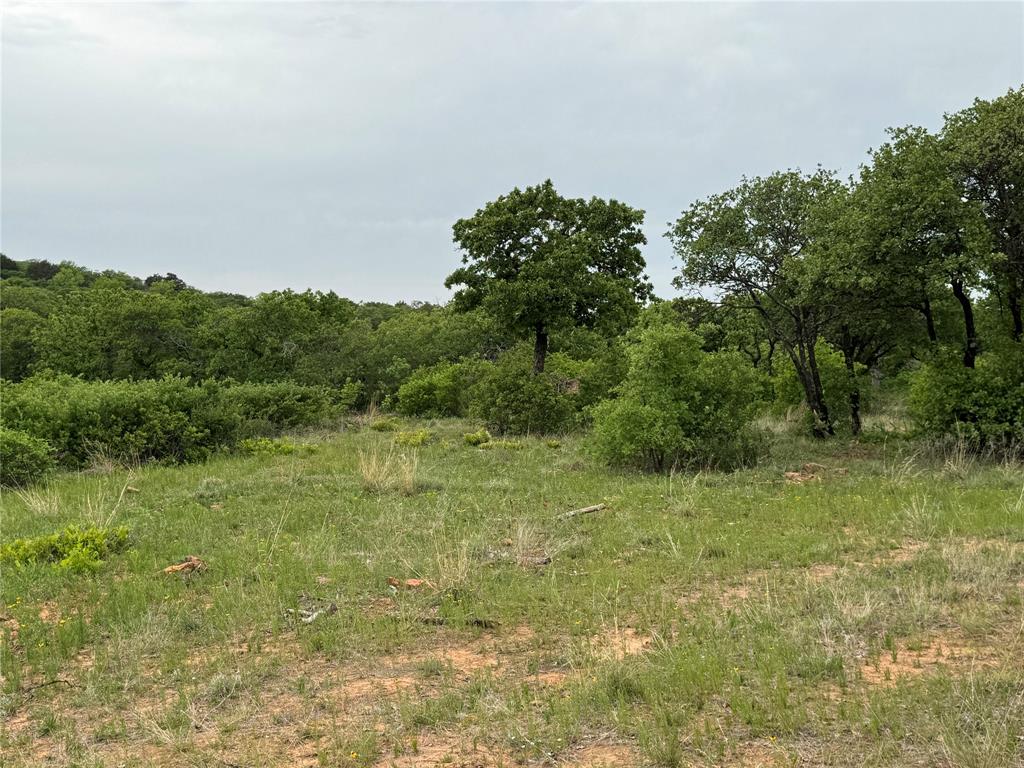 Lot 83 Shoreline Drive Property Photo 16