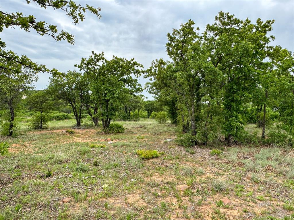 Lot 83 Shoreline Drive Property Photo 18