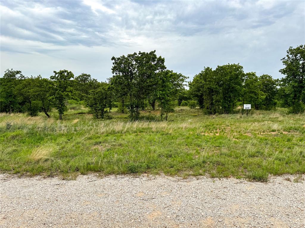 Lot 83 Shoreline Drive Property Photo 19