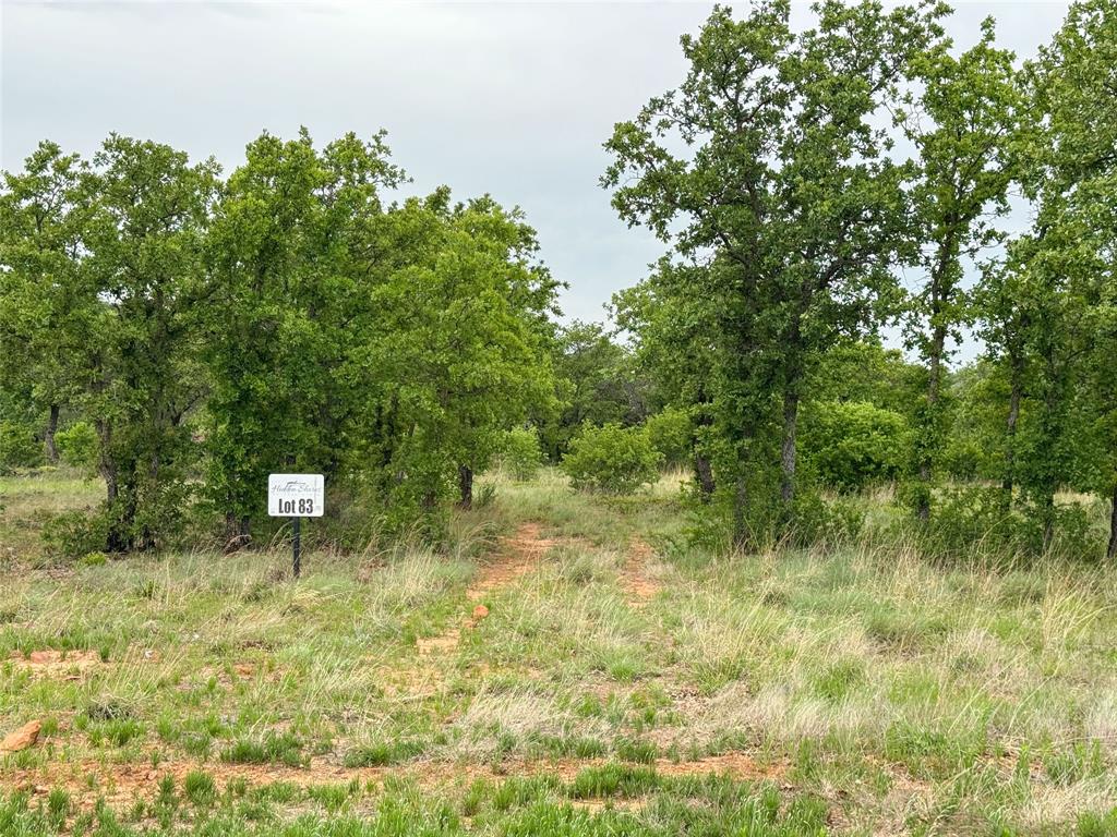 Lot 83 Shoreline Drive Property Photo 20