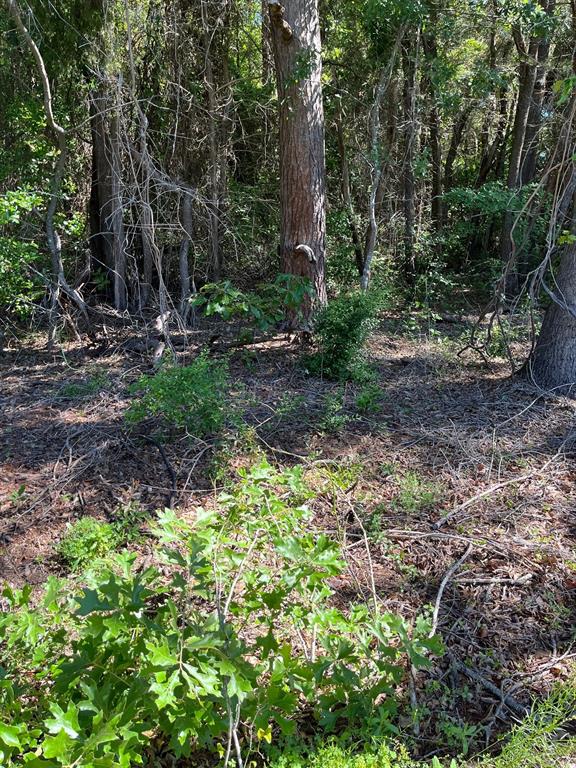 0000 Fm 1801 Property Photo