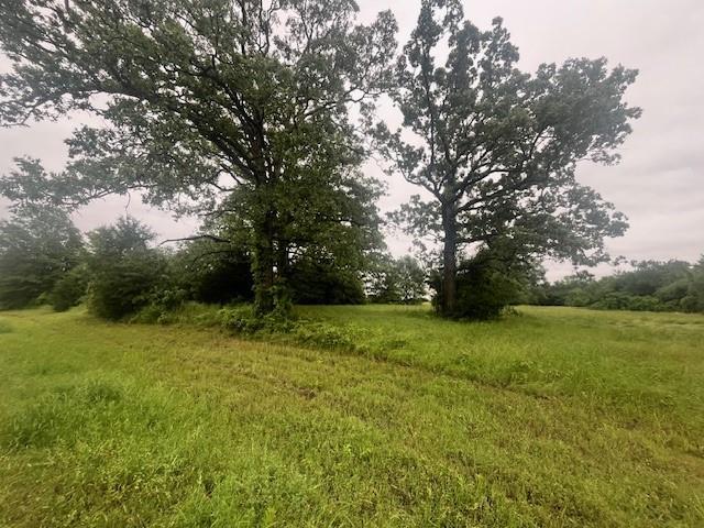 0000 County Road 1118 Property Photo