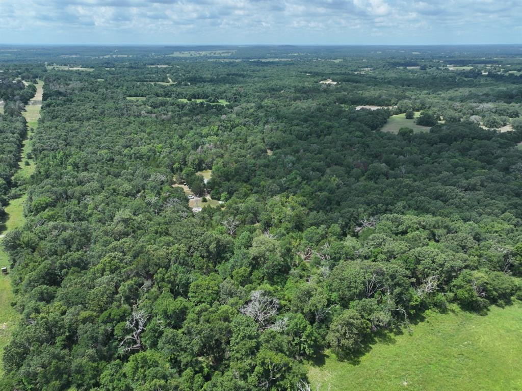 Tbd Cr 431 Road Property Photo 2