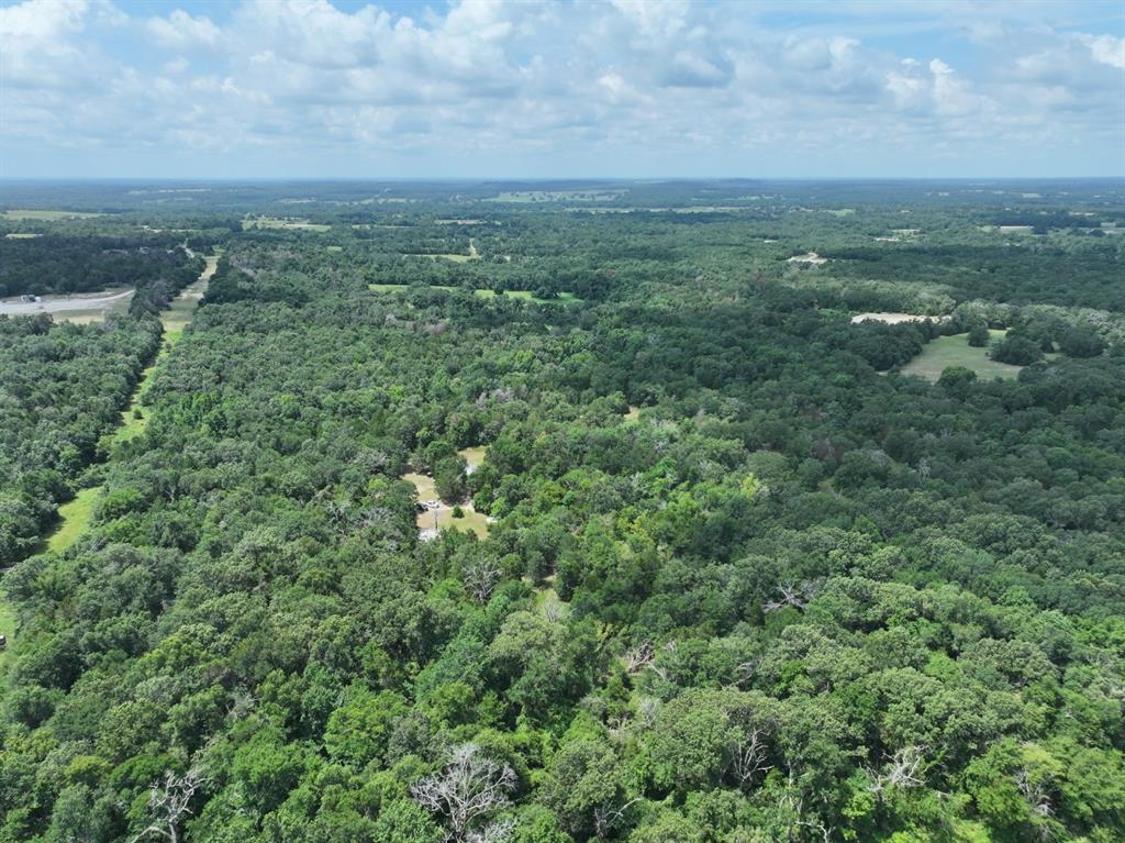 Tbd Cr 431 Road Property Photo 4