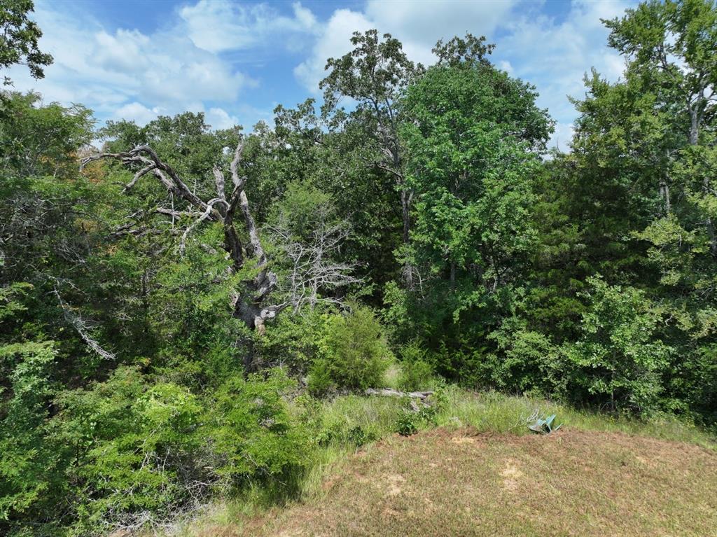 Tbd Cr 431 Road Property Photo 5