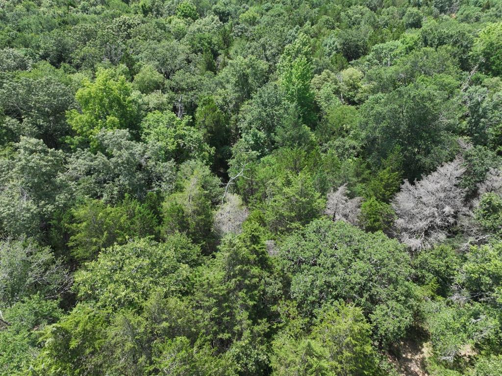 Tbd Cr 431 Road Property Photo 6