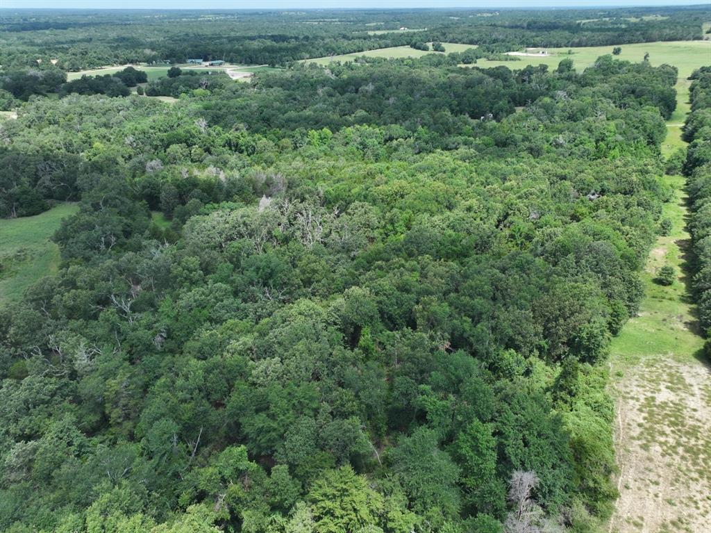 Tbd Cr 431 Road Property Photo 8