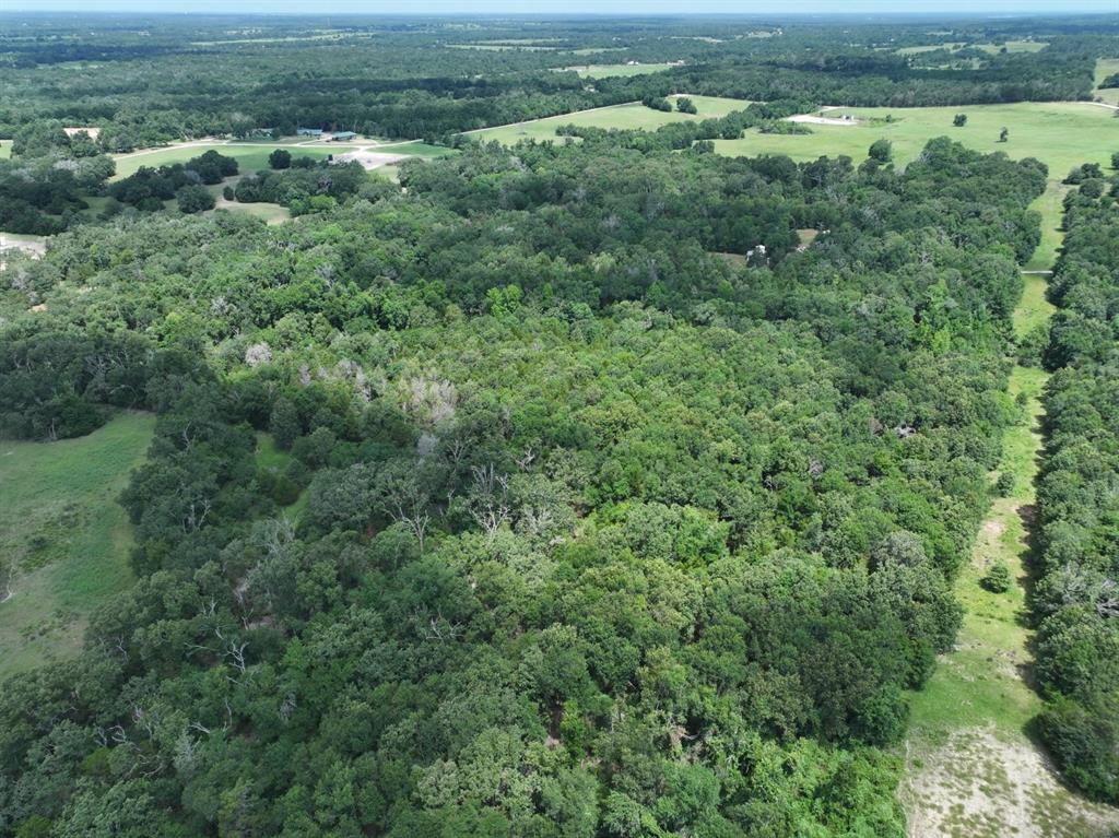 Tbd Cr 431 Road Property Photo 9