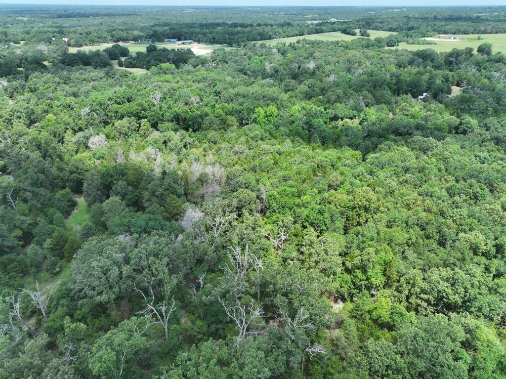 Tbd Cr 431 Road Property Photo 10