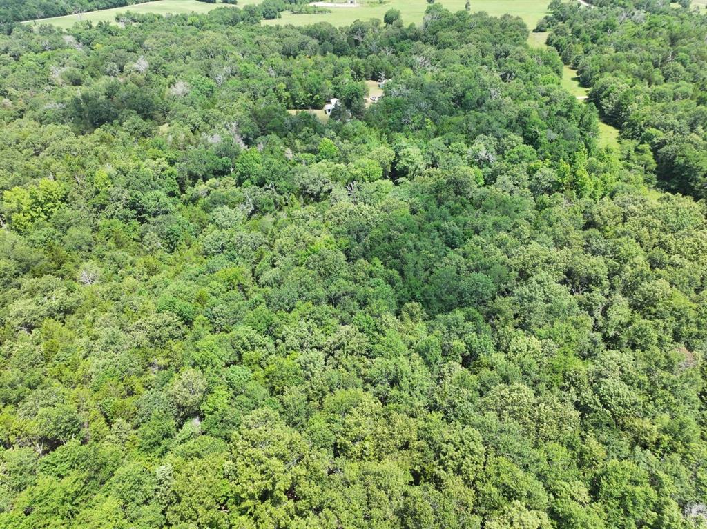 Tbd Cr 431 Road Property Photo 11