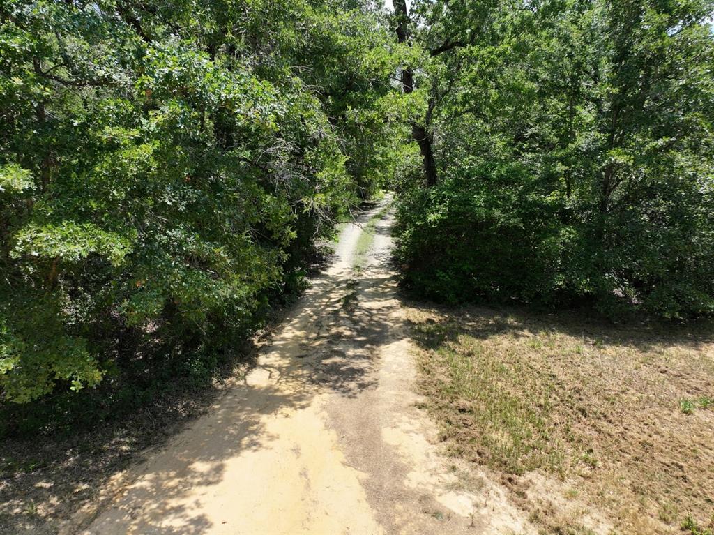 Tbd Cr 431 Road Property Photo 12