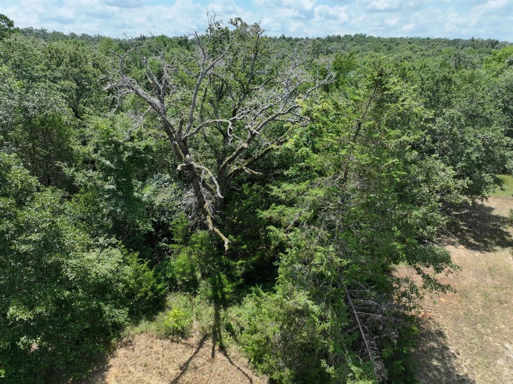 Tbd Cr 431 Road Property Photo 13