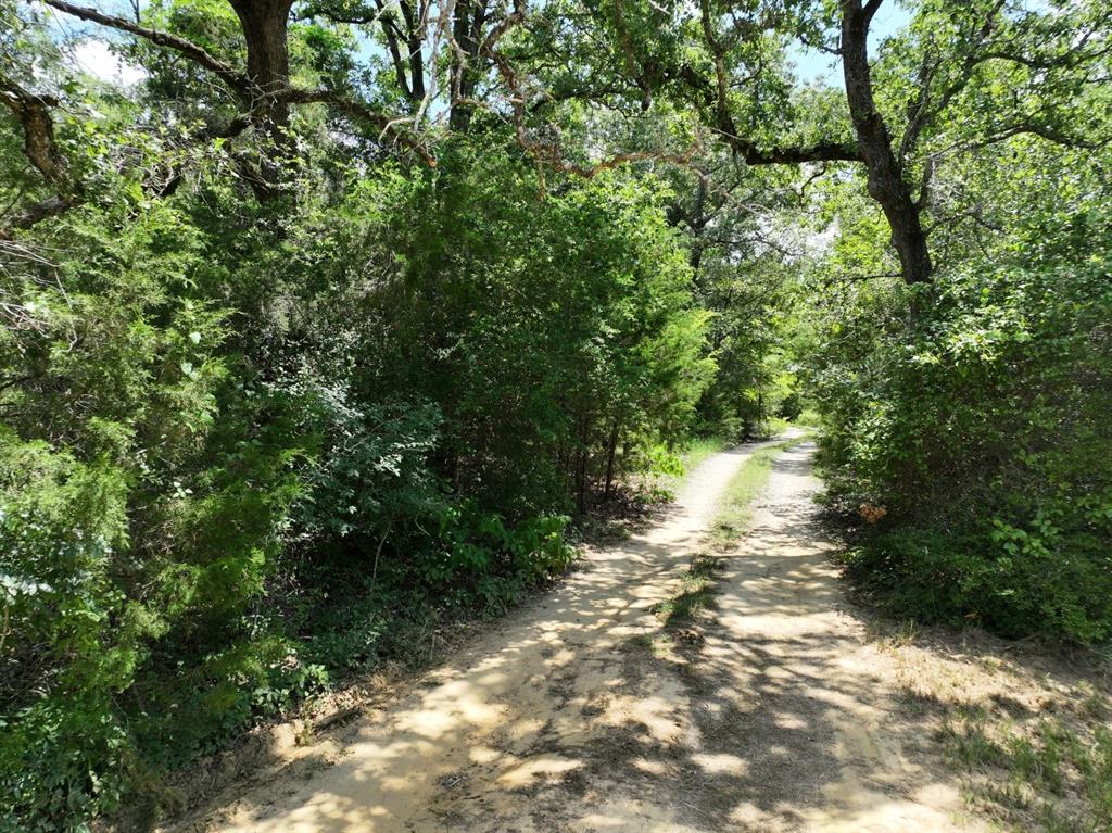 Tbd Cr 431 Road Property Photo 15