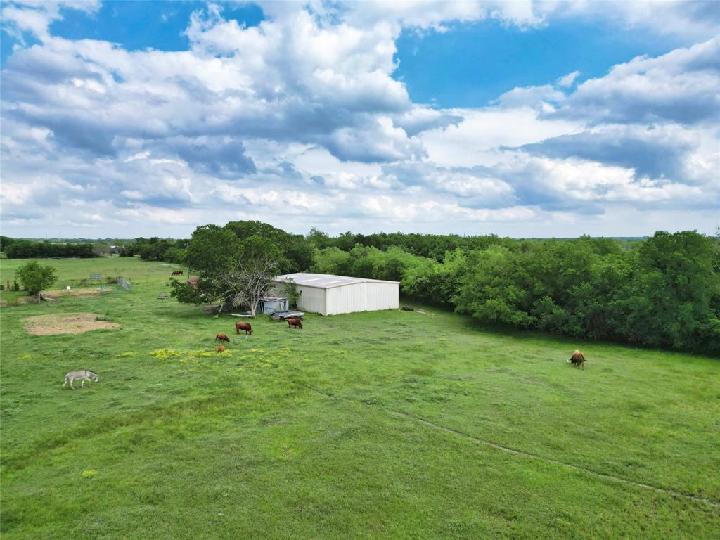 4488 County Road 2617 Property Photo 7