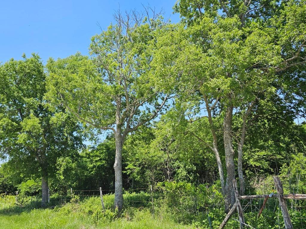 Tbd Hcr 3242 Property Photo