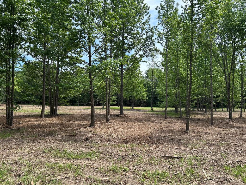 0000 Cr 1412 Property Photo