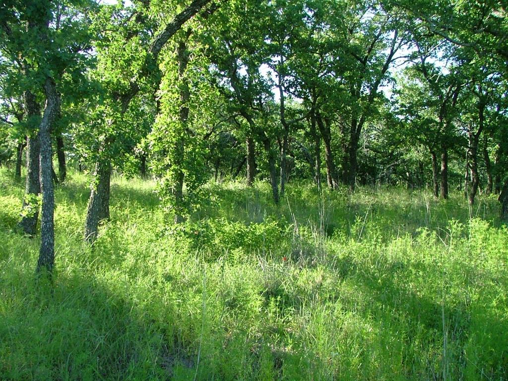 Lot 263 Ridgeline Drive Property Photo