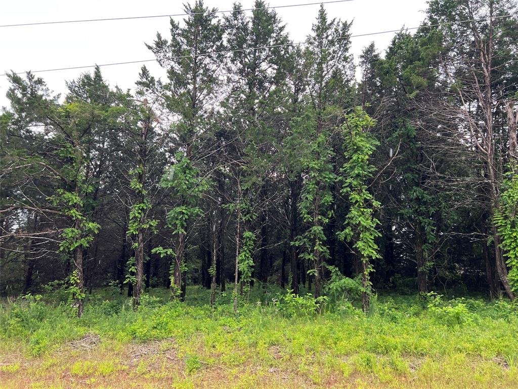 207 Pine Property Photo