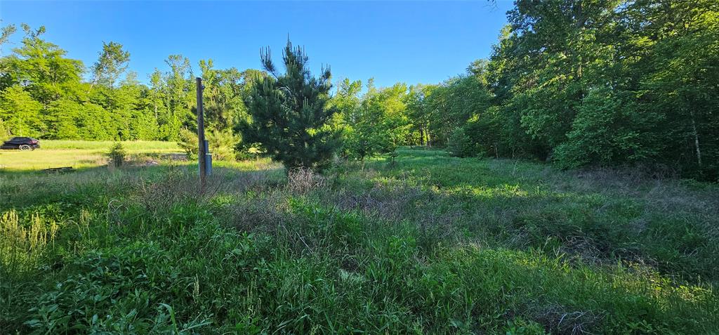 0 Fm 320 Property Photo