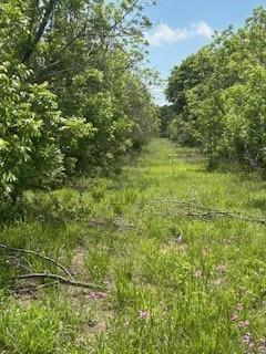 322 County Road 146 Property Photo 1