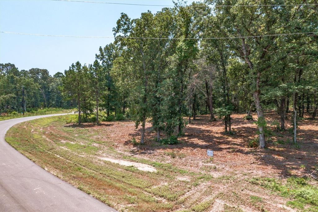 3109 Shadow Pine Drive Property Photo