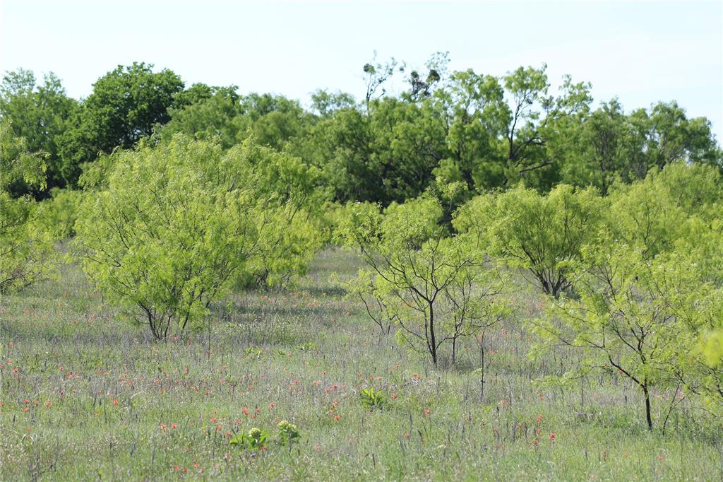 2077 B Shawver Road Property Photo 18