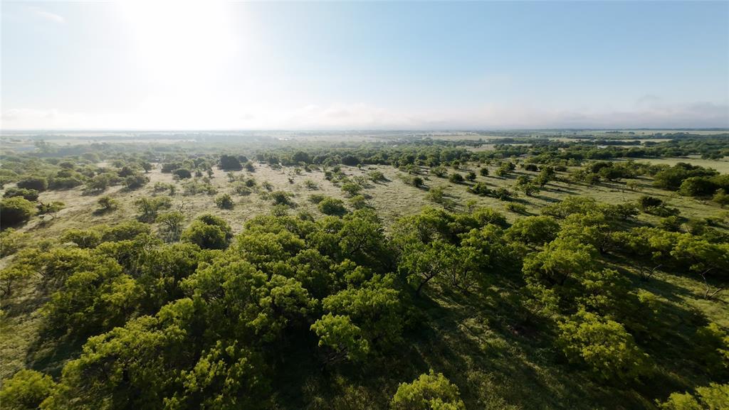 1024 Goodnight Trail Property Photo 8