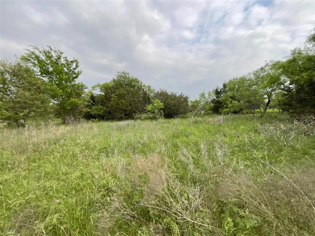 1024 Goodnight Trail Property Photo 11