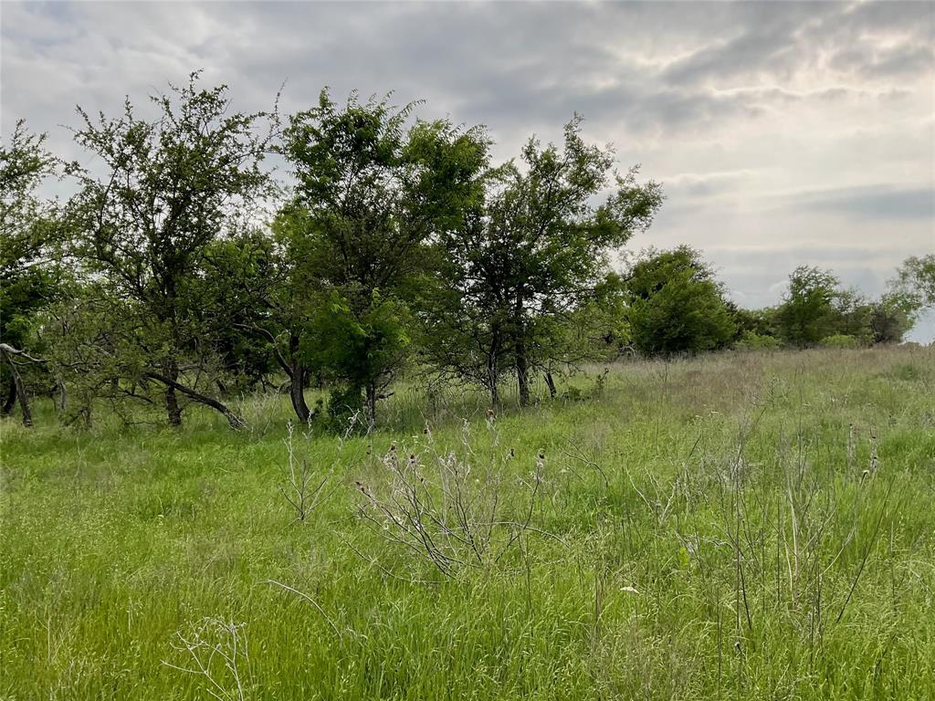 1024 Goodnight Trail Property Photo 12
