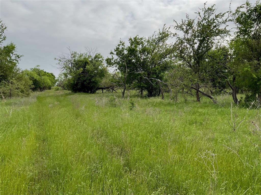 1024 Goodnight Trail Property Photo 13
