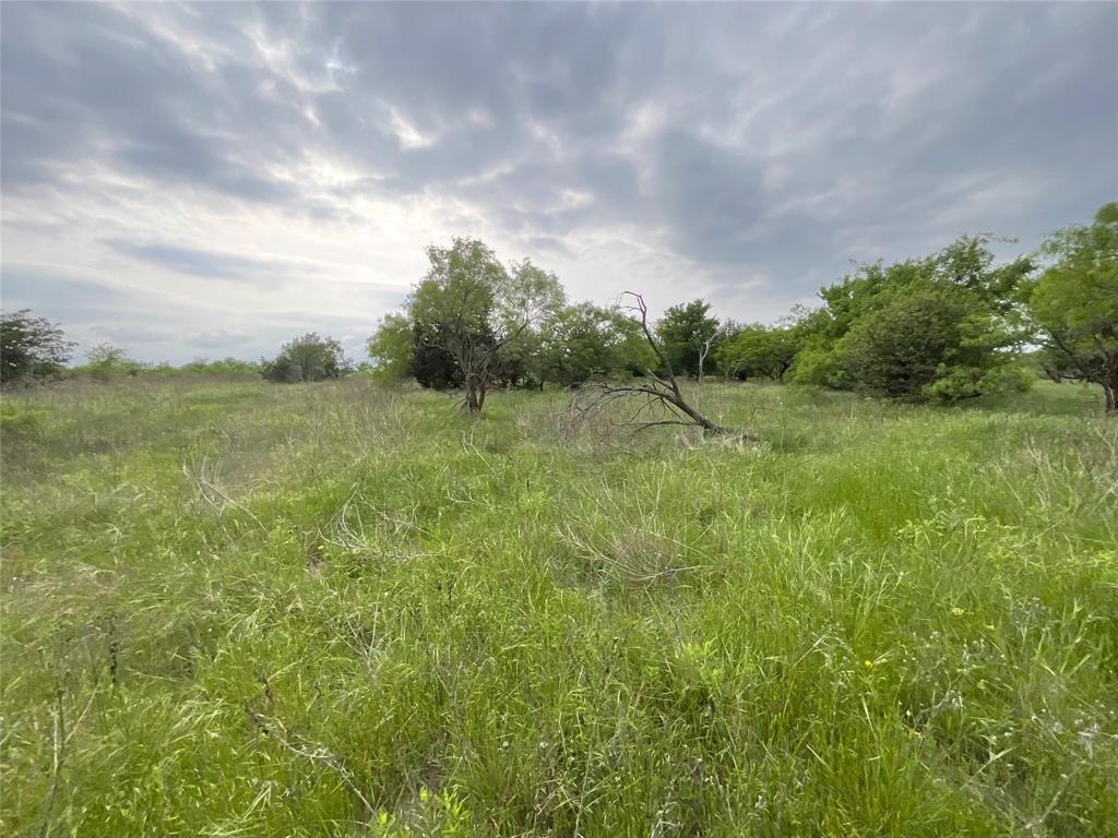 1024 Goodnight Trail Property Photo 14