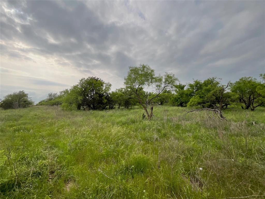 1024 Goodnight Trail Property Photo 15