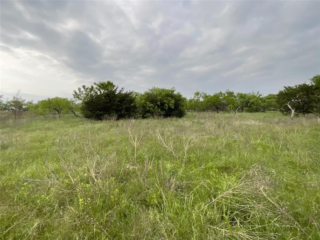1024 Goodnight Trail Property Photo 16