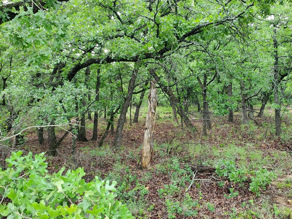 Lot 363 Sunset Lane Property Photo
